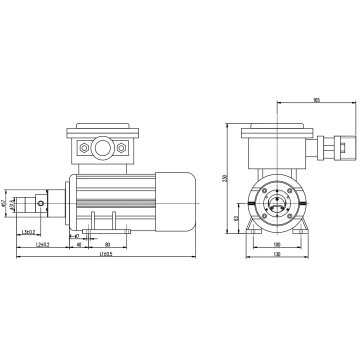 Micro Gear Pump do eksplozji pompy wybuchowej do miejsc wybuchowych